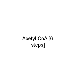 Acetyl-CoA [6 steps]